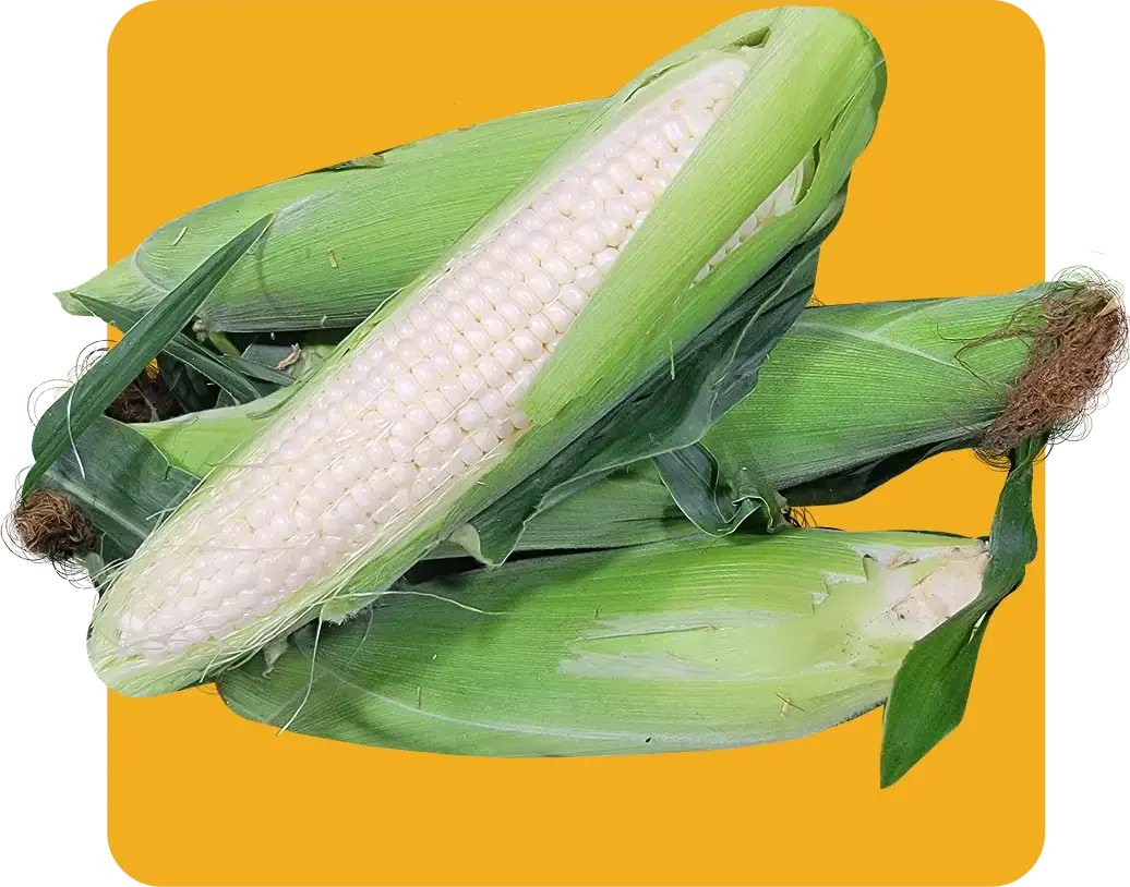 We Find What's Fresh