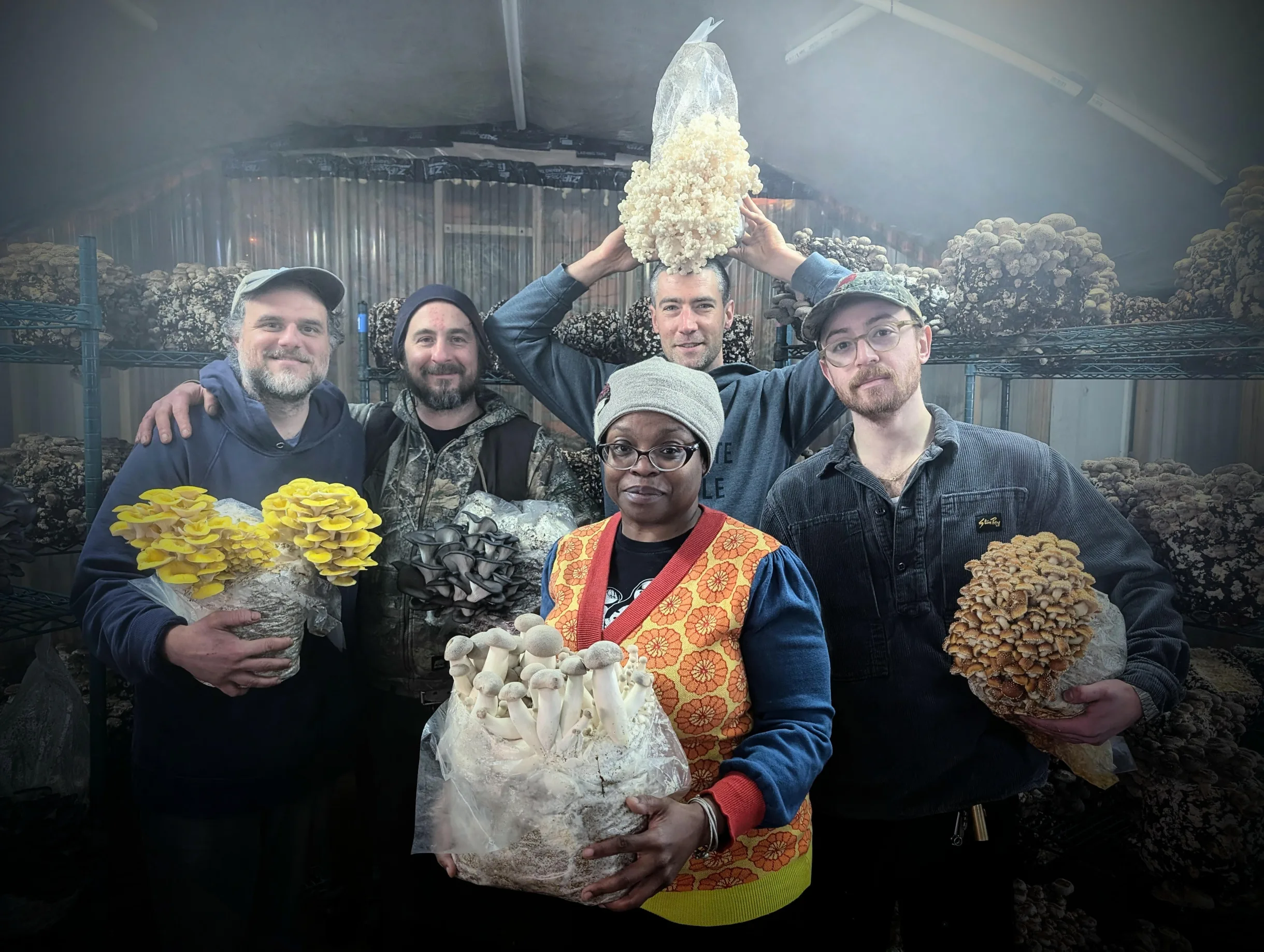 Mycopolitan Mushrooms